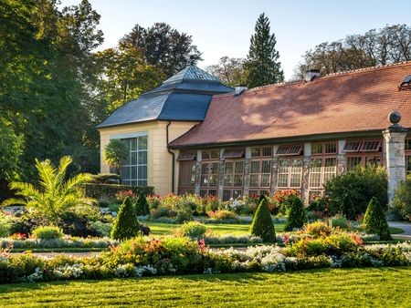 Der Triumpf der Kübelpflanze Foto Klassik Stiftung Weimar